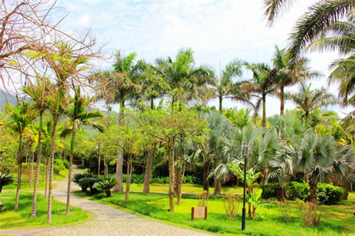 东方购房房价疯涨?房价下降?房价涨跌影响因素在这