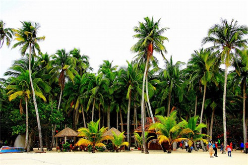 为什么去小岭共享农庄买房？海南东方买房技巧你了解多少~