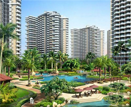 八所和东方哪个更纸得买 八所和东方哪个更纸得买