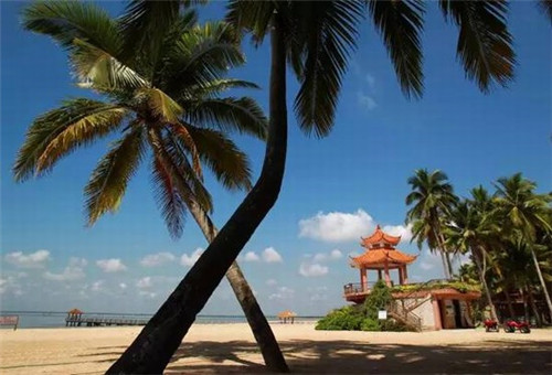 往后海南的房子还能生纸吗? 往后海南的房子还能生纸吗?