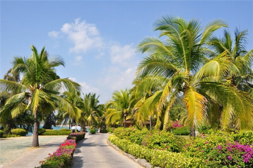 八所的房产二 八所的房产二