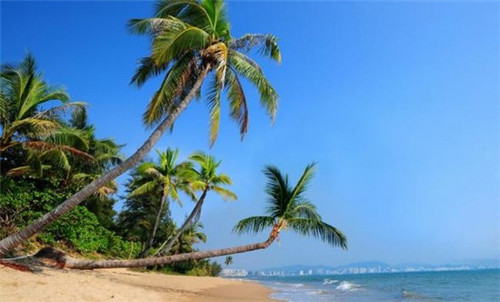 在东方哪里购房最便宜?麓鸣海Pk达嘉豪园楼盘对比!