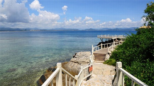 候鸟的家在南方还是北方 候鸟的家在南方还是北方