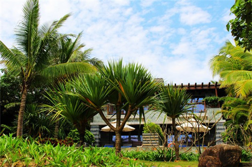 东方购房冬日置业汇艺蓝海湾与儋城壹品投资前景探析