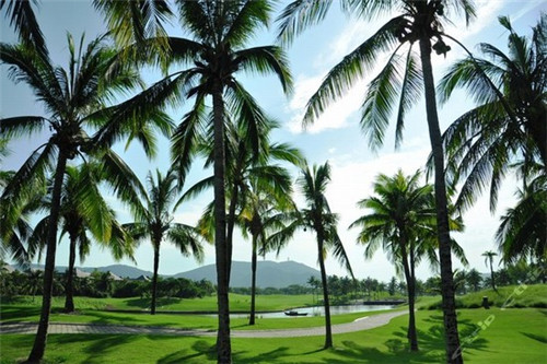 东方市楼盘性价比大比拼万悦城 VS 木棉山庄，谁更胜一筹？